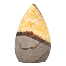 Madagascar Septarian Teardrop Crystal Point (10cm-11.5cm) | Crystal Factory
