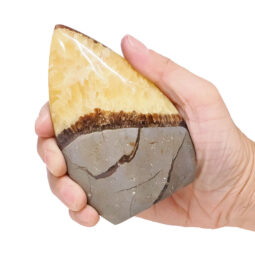 Madagascar Septarian Teardrop Crystal Point (10cm-11.5cm) | Crystal Factory