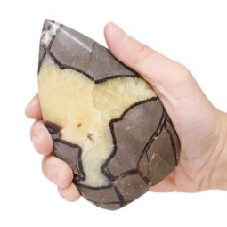 Madagascar Septarian Teardrop Crystal Point (10cm-11.5cm) | Crystal Factory
