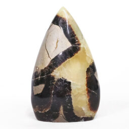 Madagascar Septarian Teardrop Crystal Point (10cm-11.5cm) | Crystal Factory