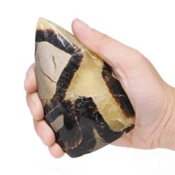 Madagascar Septarian Teardrop Crystal Point (10cm-11.5cm) | Crystal Factory