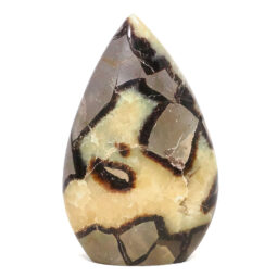 Madagascar Septarian Teardrop Crystal Point (11.5cm-13cm) | Crystal Factory