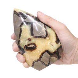 Madagascar Septarian Teardrop Crystal Point (11.5cm-13cm) | Crystal Factory
