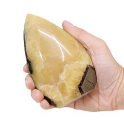 Madagascar Septarian Teardrop Crystal Point (11.5cm-13cm) | Crystal Factory