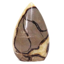 Madagascar Septarian Teardrop Crystal Point (11.5cm-13cm) | Crystal Factory