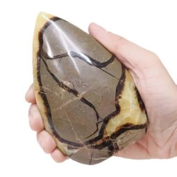 Madagascar Septarian Teardrop Crystal Point (11.5cm-13cm) | Crystal Factory