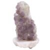 Amethyst Lamp on Quartz Base - Purple LED Bulb N2280 | Crystal Factory