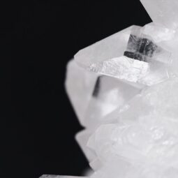 7.7kg Clear Quartz Cluster on Timber Stand 12cm S1574 9 Clear Quartz Cluster on Timber Stand 12cm S1574 | Crystal Factory