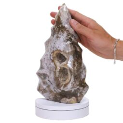 Ocean Jasper Polished Flame w/ Electric Rotating Base T3105 | Crystal Factory