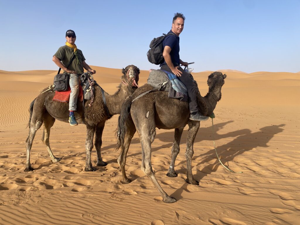 How We Travel the World to Source Our Crystals - Morocco 2024 3 Patrik and Paul riding camels through the Sahara Desert at sunset