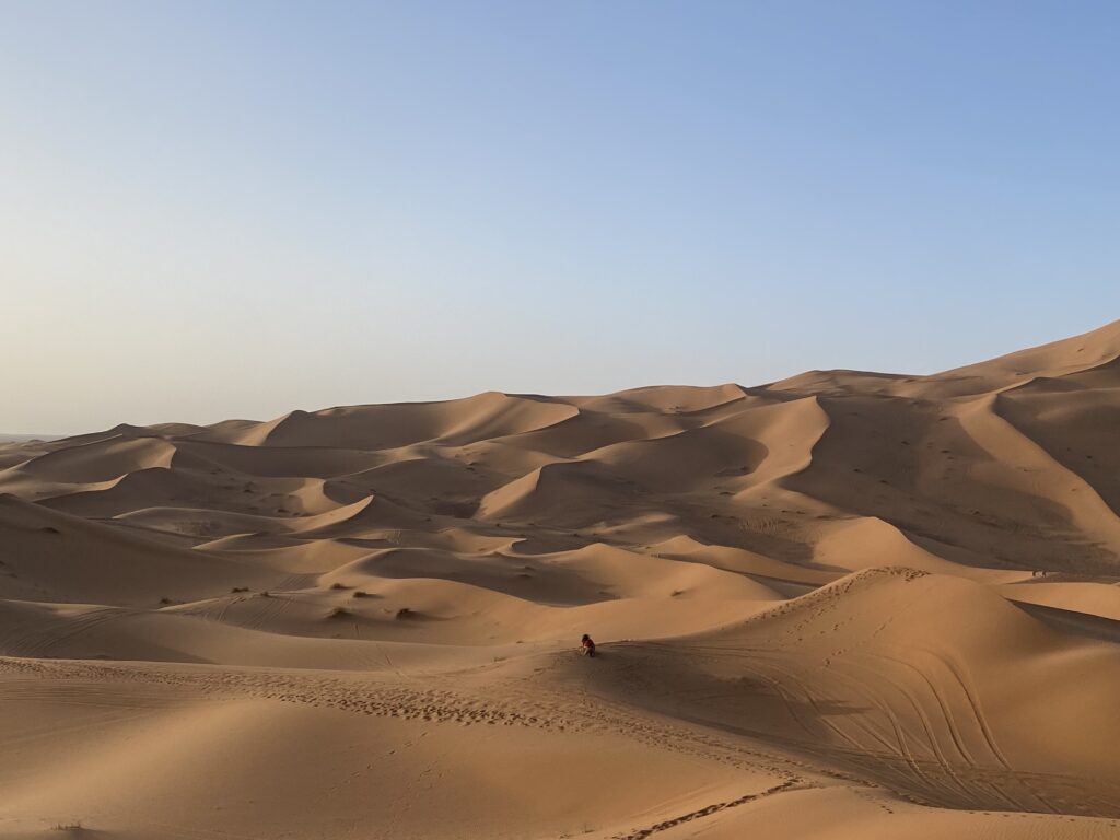 How We Travel the World to Source Our Crystals - Morocco 2024 18 Sweeping landscape of Sahara Desert sand dunes stretching to the horizon