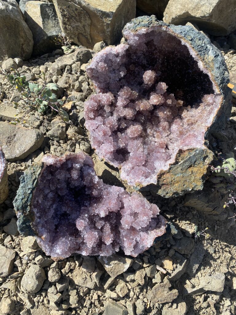 How We Travel the World to Source Our Crystals - Morocco 2024 21 Beautiful amethyst specimen found by Patrik inside a Moroccan mine