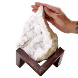 2.6kg Calcite Geode on Timber Stand 12cm S1581 6 Calcite Geode on Timber Stand 12cm S1581 | Crystal Factory