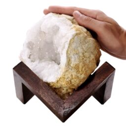 Calcite Geode on Timber Stand 12cm S1582 | Crystal Factory
