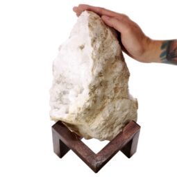 Calcite Geode on Timber Stand 12cm S1584 | Crystal Factory