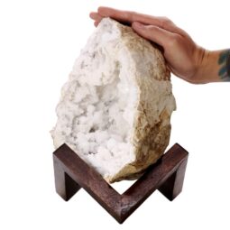 Calcite Geode on Timber Stand 12cm S1585 | Crystal Factory