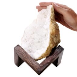 Calcite Geode on Timber Stand 12cm S1586 | Crystal Factory