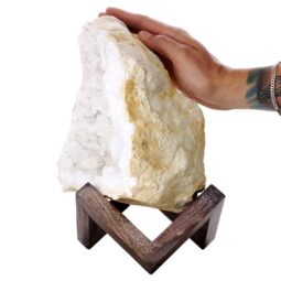 Calcite Geode on Timber Stand 12cm S1588 | Crystal Factory