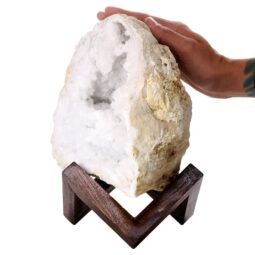 Calcite Geode on Timber Stand 12cm S1589 | Crystal Factory