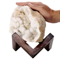 Calcite Geode on Timber Stand 12cm S1591 | Crystal Factory
