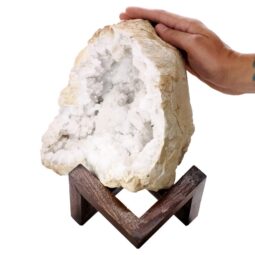 Calcite Geode on Timber Stand 12cm S1592 | Crystal Factory