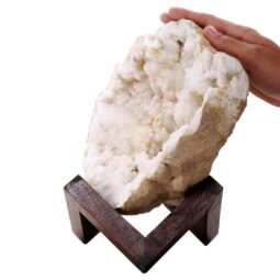 Calcite Geode on Timber Stand 12cm S1601 | Crystal Factory