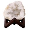 Calcite Geode on Timber Stand 12cm S1609 | Crystal Factory