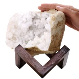 Calcite Geode on Timber Stand 12cm S1610 | Crystal Factory