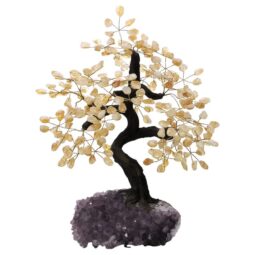 Citrine Gemstone Bonsai Tree on Amethyst Cluster 48 Branches T3170 | Crystal Factory