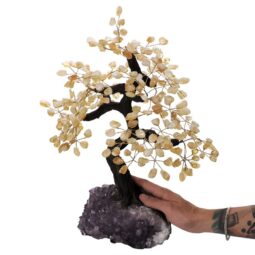 Citrine Gemstone Bonsai Tree on Amethyst Cluster 48 Branches T3170 | Crystal Factory