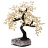 Citrine Gemstone Bonsai Tree on Amethyst Cluster 48 Branches T3171 | Crystal Factory