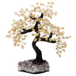 Citrine Gemstone Bonsai Tree on Amethyst Cluster 48 Branches T3171 | Crystal Factory