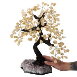 Citrine Gemstone Bonsai Tree on Amethyst Cluster 48 Branches T3171 | Crystal Factory