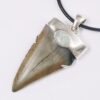 Megalodon Shark Tooth Necklace with Fire Opal V54 | Crystal Factory