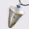 Megalodon Shark Tooth Necklace with Fire Opal V56 | Crystal Factory