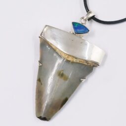 Megalodon Shark Tooth Necklace with Fire Opal V56 | Crystal Factory