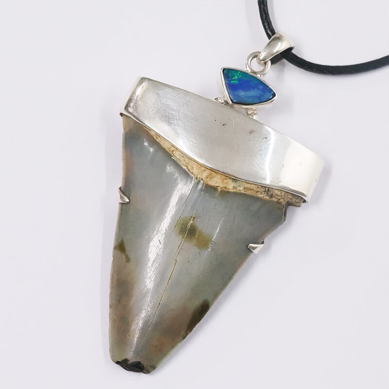 Megalodon Shark Tooth Necklace with Fire Opal V56 3 Megalodon Shark Tooth Necklace with Fire Opal V56 | Crystal Factory