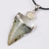 Megalodon Shark Tooth Necklace with Fire Opal V57 | Crystal Factory