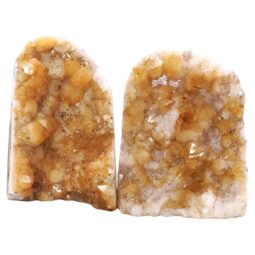 Citrine Cluster Specimen Set 2 Pieces X381 | Crystal Factory
