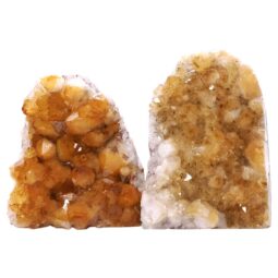 Citrine Cluster Specimen Set 2 Pieces X382 | Crystal Factory