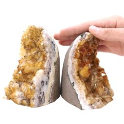 Citrine Cluster Specimen Set 2 Pieces X383 | Crystal Factory