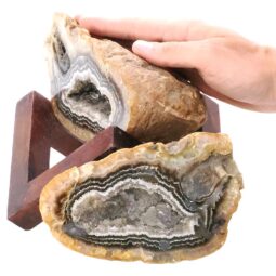 Banded Agate Geode Pair with Timber Stand 12cm - L527 | Crystal Factory