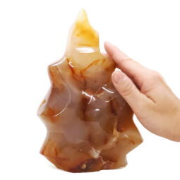 1.68kg Madagascar Carnelian Crystal Flame T3187 | Crystal Factory