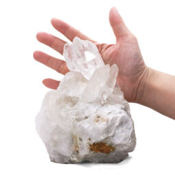 Natural Clear Quartz Large Specimen L533 | Crystal Factory