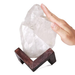Natural Clear Quartz Specimen on Timber Stand 8cm L536 | Crystal Factory