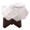 Natural Clear Quartz Specimen on Timber Stand 8cm T3231 | Crystal Factory