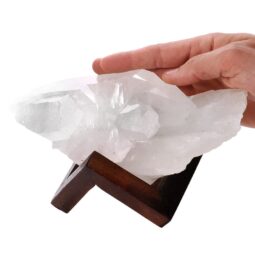 Natural Clear Quartz Specimen on Timber Stand 8cm T3232 | Crystal Factory