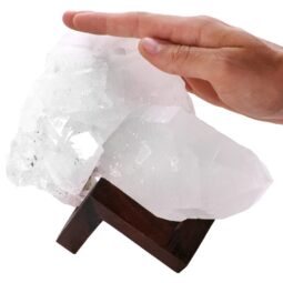 Natural Clear Quartz Specimen on Timber Stand 8cm T3234 | Crystal Factory