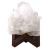 Natural Clear Quartz Specimen on Timber Stand 8cm T3235 | Crystal Factory