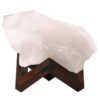 Natural Clear Quartz Specimen on Timber Stand 8cm T3238 | Crystal Factory